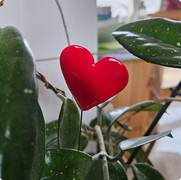 Cœur sur tige – Image 3