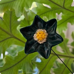 Fleurette en étoile bleu-gris