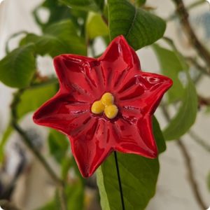 Fleurette en étoile Rouge