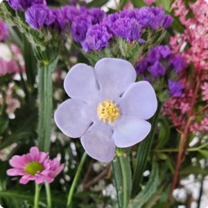 Fleurette 6 pétales lavande