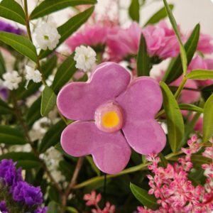 Fleurette oxalis rose