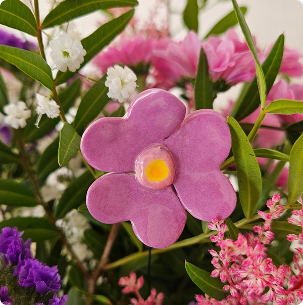 Fleurette oxalis rose